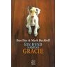 Dan Dye Ein Hund Namens Gracie