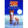 Lucy Daniels Animal Ark: Foal In The Fog