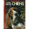 Anna Pollard Les Chiens (Plaisir De Voir)