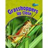 Greg Pyers Grasshoppers Up Close (Minibeasts Up Close)