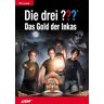 Junior Die Drei ??? - Das Gold Der Inkas