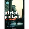 Ulrich Peltzer Stefan Martinez: Roman