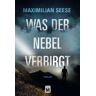 Maximilian Seese Was Der Nebel Verbirgt
