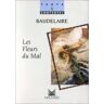 Jean Delabroy Les Fleurs Du Mal (Texte Contextes)