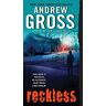 Andrew Gross Reckless