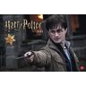 Heye Harry Potter Broschur Xl