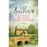 Liz Balfour Das Haus Bei Den Fünf Weiden: Roman