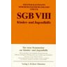 Reinhard Wiesner Sgb Viii Kinder- Und Jugendhilfe