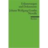Christian Wagenknecht Erläuterungen Und Dokumente Zu Johann Wolfgang Goethe: Novelle