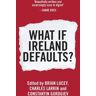 Lucey M.D., Brian C. What If Ireland Defaults?