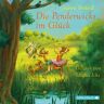 Jeanne Birdsall Die Penderwicks 5: Die Penderwicks Im Glück: 4 Cds