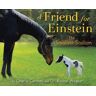 Charlie Cantrell A Friend For Einstein, The Smallest Stallion