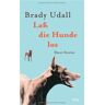 Brady Udall Laß Die Hunde Los