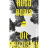 Hugo Boris Die Polizisten: Roman