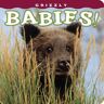 Grizzly Babies! (Babies! (Farcountry Press))