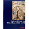 Angela Kaiser-Lahme Stadt Und Burg Am Mittelrhein (1000 - 1600)