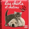 Delphine Lacharron Les Chiots Et Chatons