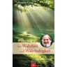 Anselm Grün Von Wahrheit Und Wahrhaftigkeit