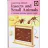 Romola Showell Insects And Small Animals