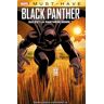 PANINI Black panther - Qui est la panthère noire ?