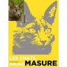 Les chats vus par Bruno Masure Bruno Masure Hugo Image