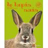 Le lapin nain Beate Ralston, Achim Meyer-Breckwoldt Artémis