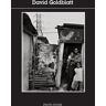 David Goldblatt  baptiste lignel Actes Sud