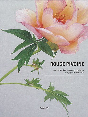 Pierre-Yves Nédélec Rouge Pivoine