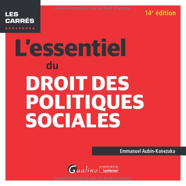 Emmanuel Aubin-Kanezuka L'Essentiel Du Droit Des Politiques Sociales: Pour Tout Comprendre Du Droit Des Politiques Sociales Applicable En 2023