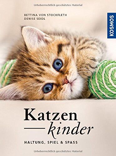 Bettina von Stockfleth Katzenkinder: Haltung, Spiel & Spaß