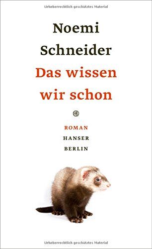 Noemi Schneider Das Wissen Wir Schon: Roman