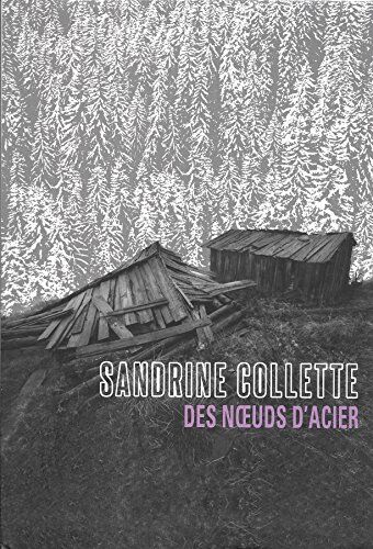 Des Noeuds D'Acier Sandrine Collette