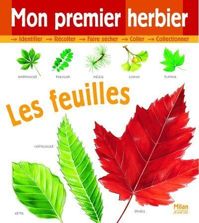 Nicole Bustarret Mon Premier Herbier : Les Feuilles