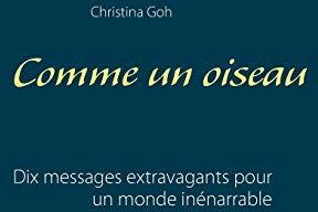 Christina Goh Comme Un Oiseau: Dix Messages Extravagants Pour Un Monde Inénarrable