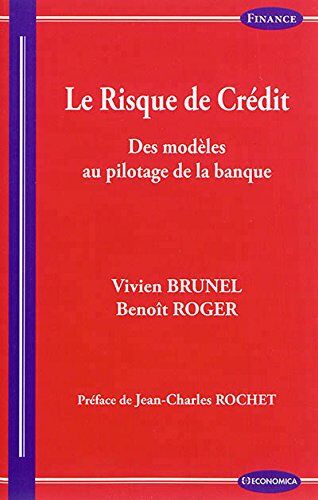 Brunel Vivien Risque De Crédit - Des Modèles Au Pilotage De La Banque (Le)