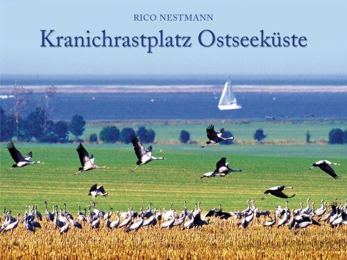Rico Nestmann Kranichrastplatz Ostseeküste
