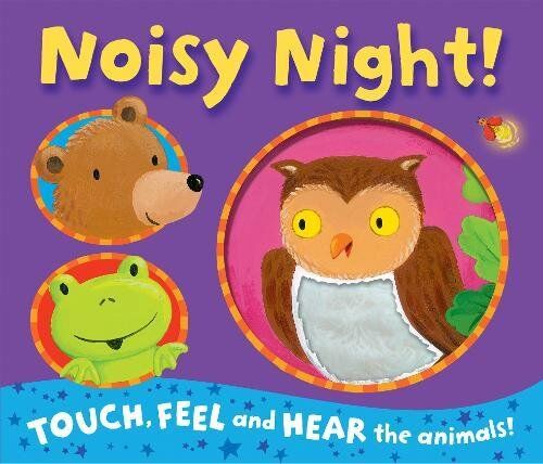 Noisy Night! (Noisy Touch-And-Feel Books)