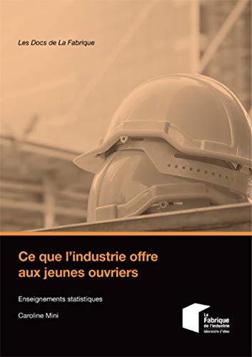 Caroline Mini Ce Que L'Industrie Offre Aux Jeunes Ouvriers: Enseignements Statistiques