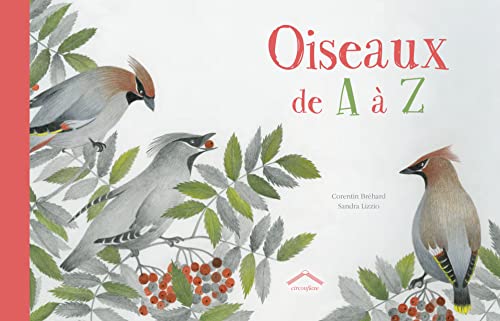 Corentin Bréhard Oiseaux De A À Z