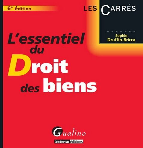 Sophie Druffin-Bricca L'Essentiel Du Droit Des Biens