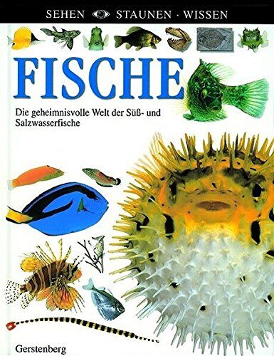 Fische (Sehen - Staunen - Wissen)