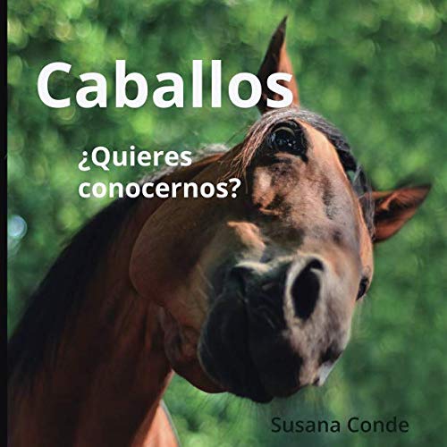 Susana Conde Caballos: ¿quieres Conocernos?