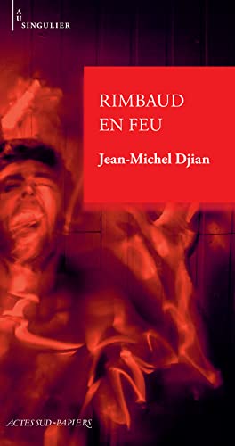 Jean-Michel Djian Rimbaud En Feu