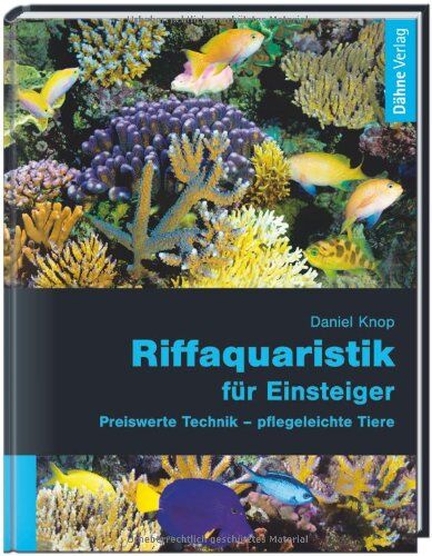 Daniel Knop Riffaquaristik Für Einsteiger: Preiswerte Technik - Pflegeleichte Tiere