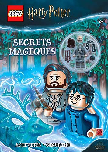 Wizarding World Lego Harry Potter Secrets Magiques