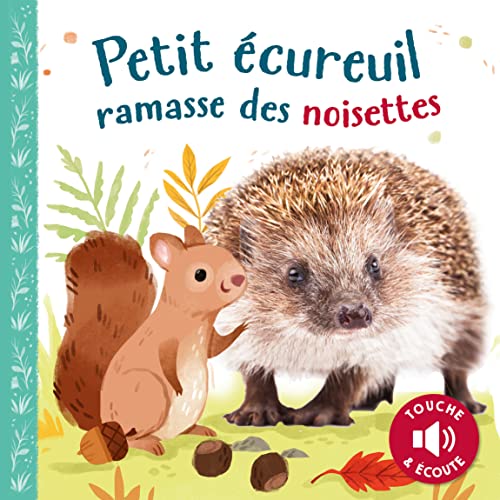 Petit Écureuil Ramasse Des Noisettes (Coll. Toucher & Écoute)