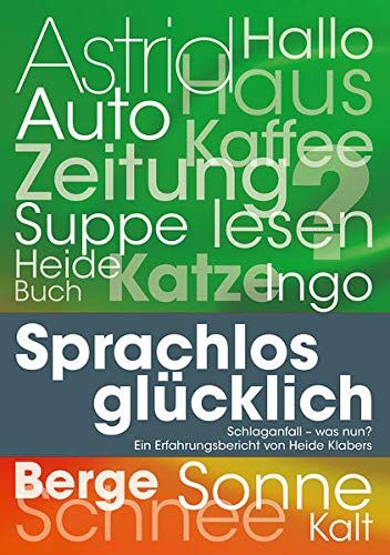 Sprachlos Glücklich: Schlaganfall - Was Nun? Ein Erfahrungsbericht Von Heide Klabers