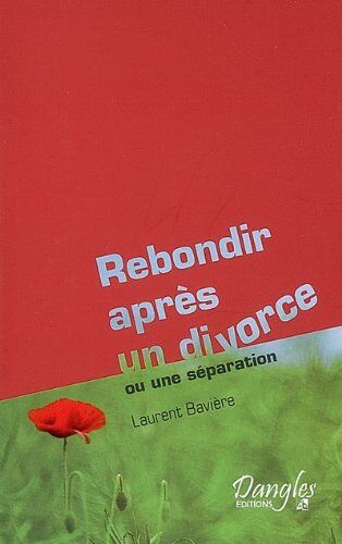 Laurent Baviere Rebondir Aprÿ..S Un Divorce Ou Une Sÿ©paration