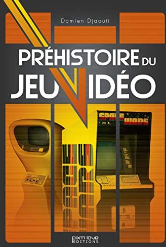 Damien Djaouti Prehistoire Du Jeu Video