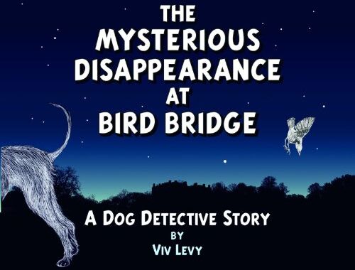 Viv Levy The Mysterious Disappearance At Bird Bridge: A Dog Detective Story